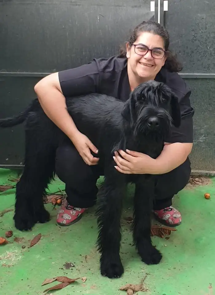 servicio-peluquería-canina