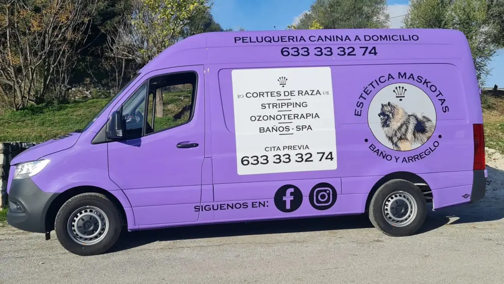 servicio-servicio-Adiestramiento-Canino