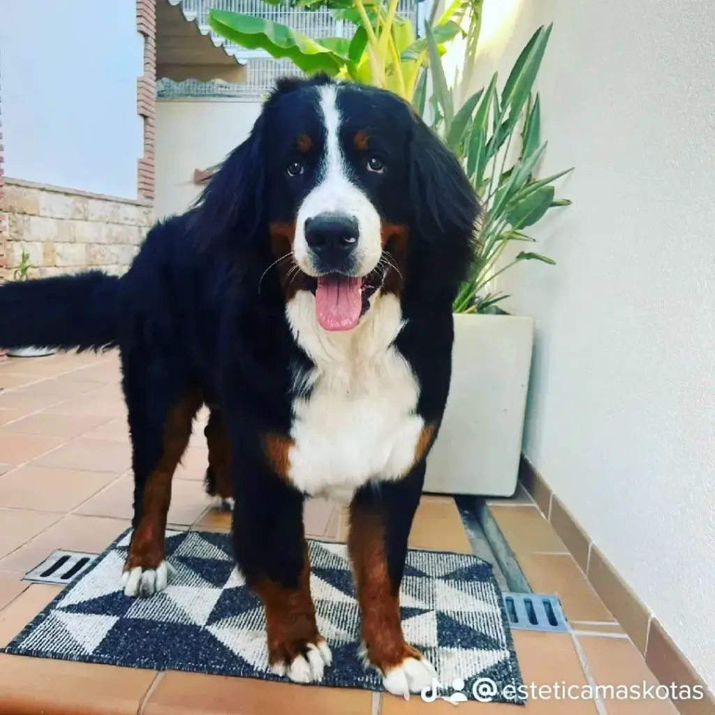 nuestra-misión-visión-y-valores